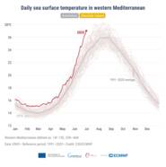 Grafiek van dagelijkse temperatuur in het westen van de Middellandse Zee. 