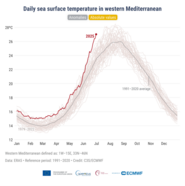 Grafiek van dagelijkse temperatuur in het westen van de Middellandse Zee. 