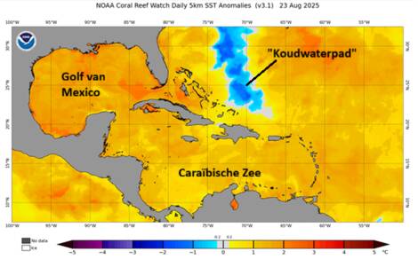 Een 'koudwaterpad' achtergelaten door orkaan Erin.