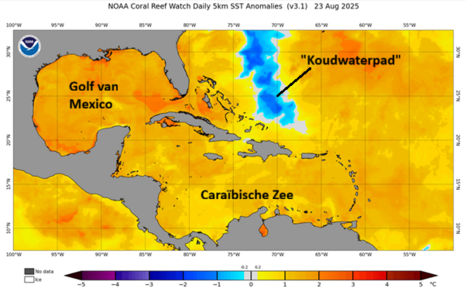 Een 'koudwaterpad' achtergelaten door orkaan Erin.