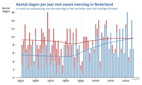 Staafdiagram met het aantal dagen per jaar met plaatselijk minstens 50 millimeter neerslag zoals waargenomen (blauw) en na aanpassing van de neerslag in het verleden aan het huidige klimaat (rood).