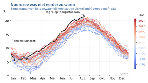 Lijngrafiek van de jaarlijkse gang van de etmaalgemiddelde zeewatertemperatuur bij lichteiland Goeree voor ieder jaar vanaf 1984. De zwarte lijn is 2026.