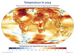 De ruimtelijke verdeling van de opwarming in 2024 ten opzichte van het gemiddelde over 1991-2020. Zowel de oceaan als het land waren uitzonderlijk warm, maar niet overal in gelijke mate.  