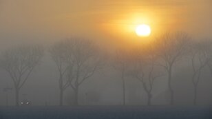 Februari de zonnigste van de drie wintermaanden maar het rustige weer leidde tot mist die soms hardnekking was (foto: Jannes Wiersema)