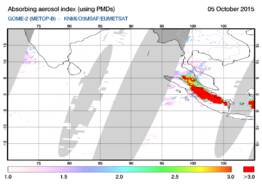 De absorbing aerosol index geeft aan of en hoeveel absorberend fijnstof in de atmosfeer zit. De rook van de bosbranden veroorzaakt een hoge waarde.De metingen zijn verricht door het satellietinstinstrument GOME-2 aan boord van EUMETSAT's MetOp (KNMI). 