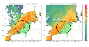 Kaart van temperatuur IJsselmeer tijdens en kort na de late hitteperiode half september. IJsselmeer koelt na inval koelere lucht sneller af dan de kustwateren.