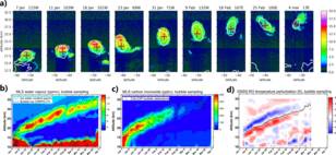 Hoogte van de rookwolk zoals afgeleid uit waarnemingen van verschillende satellietinstrumenten: (a) CALIPSO, (b+c) Microwave Limb Sounder, (d) radio-occulatie (GPS) signaal van EUMETSAT MetOp satellieten.