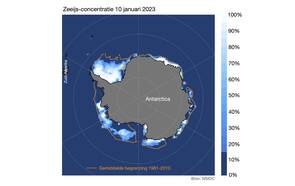 Uitbreiding van Antarctisch zee-ijs op 10 januari 2023, vergeleken met het gemiddelde voor die datum over de 30-jaar periode 1981 – 2010 (oranje lijn). Blauw-witte kleuren geven het percentage van het zeeoppervlak aan dat bedekt is met zee-ijs. 