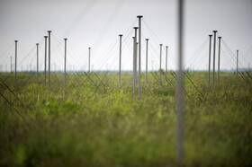 foto van LOFAR antennes dichtbij. De radioantenne die radiogolven van bliksem opvangt is de knop aan de bovenkant van de witte stok