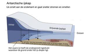 Het zelfversterkende proces op Antarctica. IJs wat eerst dik genoeg was om op de bodem te rusten, wordt dunner en gaat drijven, waardoor het sneller kan stromen en er meer ruimte onder het ijs komt voor warm zeewater.