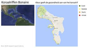Kaart van Bonaire met in gekleurde bolletjes de gezondheid van het koraalrif op 151 locaties weergegeven. 