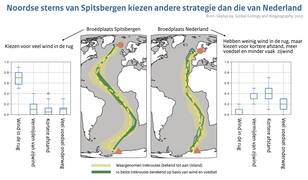 Kaarten van berekende vliegroutes van de Noordse stern die het beste overeenkomen met de waarnemingen en staafdiagrammen van de factoren die belangrijk zijn voor die vliegroutes zoals rugwind, zijwind, afstand en voedsel.