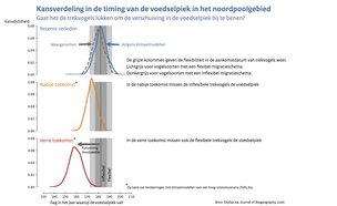 Grafieken met de kansverdeling in de timing van de jaarlijkse voedselpiek voor het huidige klimaat en het verwachte klimaat rond 2050 en 2090 voor het worst case SSP5-8.5 scenario en de variatie in aankomstdatum van de trekvogels