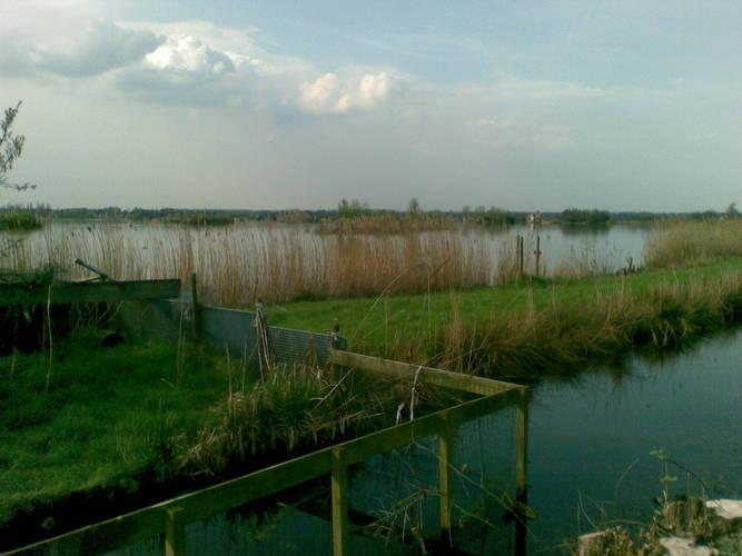 April 2009: Reeuwijkse plas