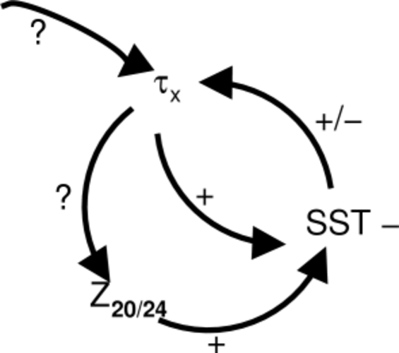 Fig. 4 Veranderingen in de ENSO cyclus tussen wind stress (t), thermoklien diepte (Z20/24) en oppervlaktewater temperatuur (SST).