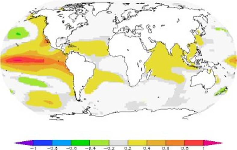 Figure 2. Average surface temperature anomaly of the ocean three months after an El Niño episode of 1 ºC (NCDC ERSST v3b observation). The ocean cools through extra radiation and hence decreases the ocean heat content.
