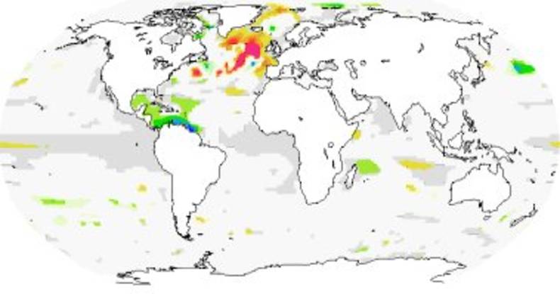 Figuur 3: Het patroon van de afname van de warmte-inhoud van de bovenlaag van de oceaan twee jaar na een afname van de Atlantic Meridional Overturning Circulation in het klimaatmodel (ECHAM5/MPI-OM).