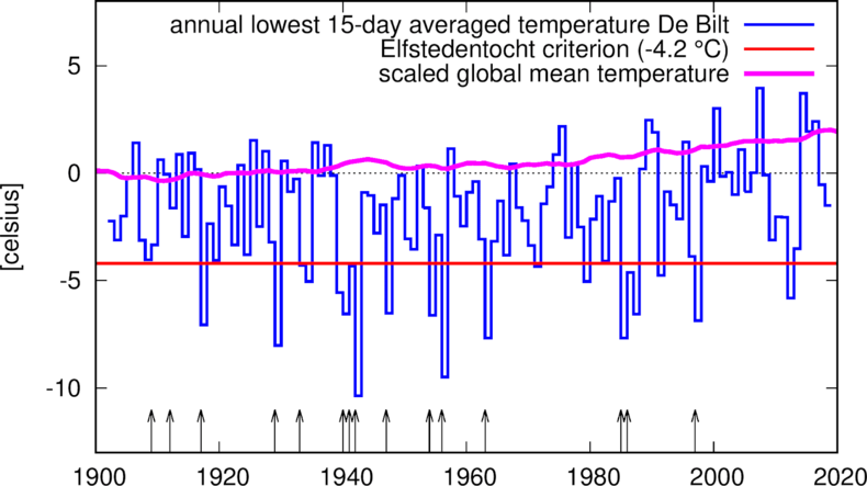 figure with lowest 15-day averaged daily mean homogenised temperature in De Bilt (blue), temperature criterion (red) an the scaled global mean temperature with a 4-year running mean (purple). Arrows indicate the years in which an Elfstedentocht was skated