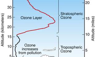 Figuur V1-2: Ozon is aanwezig in de lagere atmosfeer vlak boven het aardoppervlak, genaamd de troposfeer, en hoog boven het aardoppervlak, genaamd de stratosfeer. Het meeste ozon bevindt zich in de stratosfeer, in de ‘ozonlaag’. Verhogingen van de ozoncon