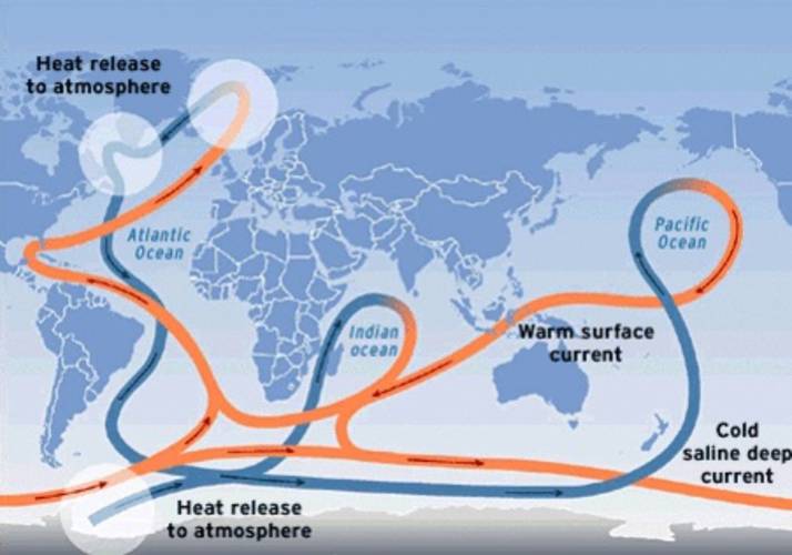 Wereldwijde transportband van oceaanwater waarvan de warme Golfstroom deel van uitmaakt. Rood is de stroming aan of nabij het zeeoppervlak, blauw is de stroming in de diepzee.