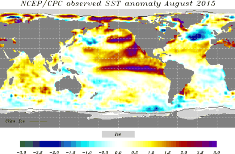 Zeewatertemperatuur van augustus 2015 met El Niño zichtbaar langs de evenaar van de Stille Oceaan