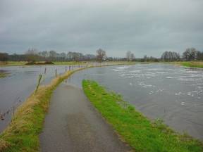 Overstroming van het riviertje de Mark bij Breda. Waar het witte paaltje staat loopt het ondergelopen fietspad waar, in de zomer, honderden mensen per dag gebruik van maken. (Bron: Frans Wildhagen, Prinsenbeek)