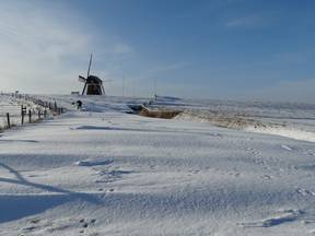 Sneeuw in Nederland (Bron: Jannes Wiersema)