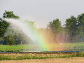 Sproei-installaties draaien tijdens droogteperiodes op volle toeren (Bron: Jannes Wiersema)
