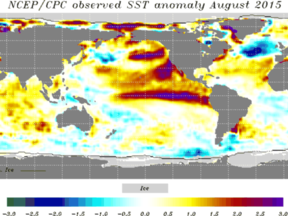 Zeewatertemperatuur van augustus 2015 met El Niño zichtbaar langs de evenaar van de Stille Oceaan. (Bron: CPC/NCEP/NOAA)