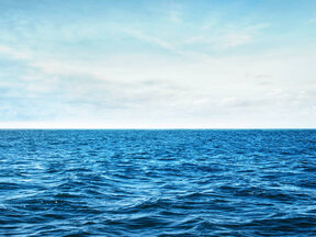 Foto: Shutterstock