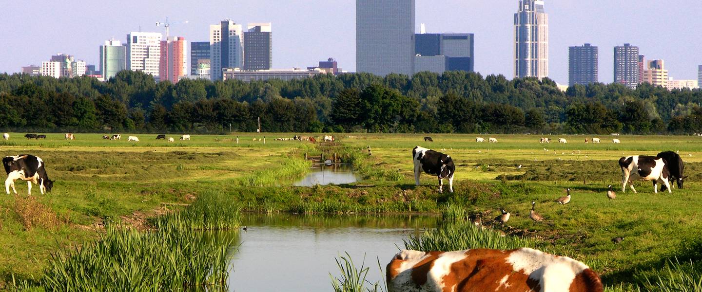 Klimaat van Nederland