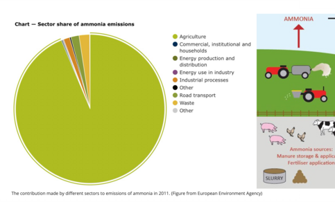 The contribution made by different sectors to the emissions of ammonia in 2011