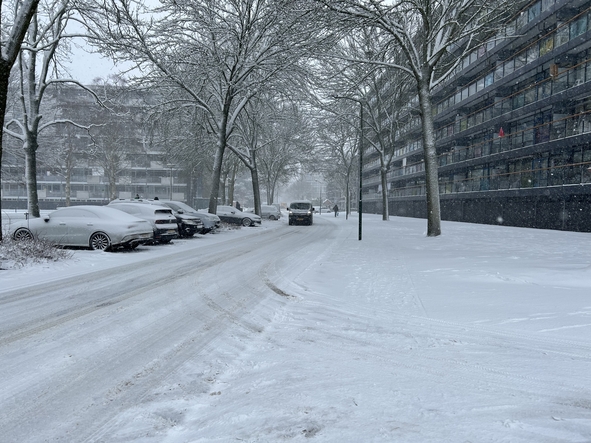 besneewde weg in woonwijk
