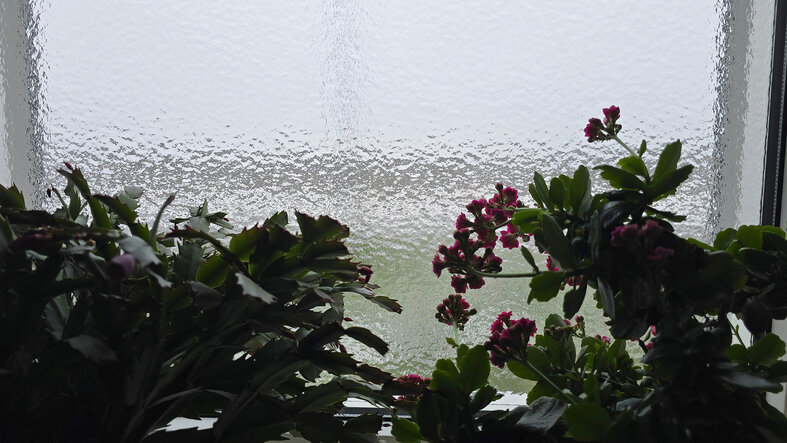 foto van IJzel op het raam in Roodeschool