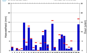 Staafdiagram van dagelijkse hoeveelheid neerslag in De Bilt in de maand februari 2024