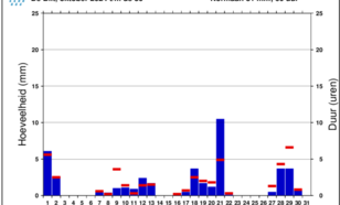 Grafiek neerslag De Bilt