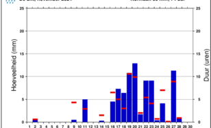 Staafdiagram van dagelijkse hoeveelheid neerslag in De Bilt in de maand november 2024