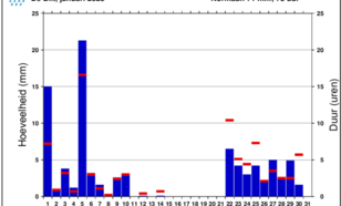 Grafiek neerslag De Bilt