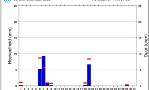 Grafiek neerslag De Bilt