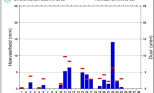 Grafiek neerslag De Bilt
