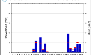 Grafiek neerslag De Bilt