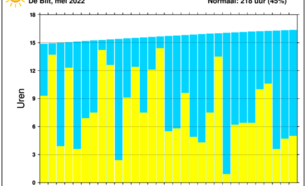Staafdiagram van dagelijkse hoeveelheid uren zonneschijn in De Bilt in de maand mei