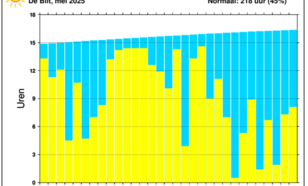 Staafdiagram van dagelijkse hoeveelheid uren zonneschijn in De Bilt in de maand mei 2025