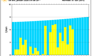 Staafdiagram van dagelijkse hoeveelheid uren zonneschijn in De Bilt januari 2026
