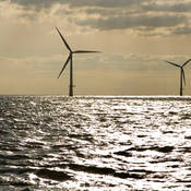 Dagelijks bekijken energieproducenten op grond van de data van het KNMI hoeveel windenergie opgewekt kan worden.