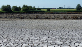 Foto van een uitgedroogde akker