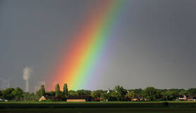regenboog