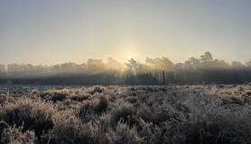 Winterslandschap met kou en zonsopgang 