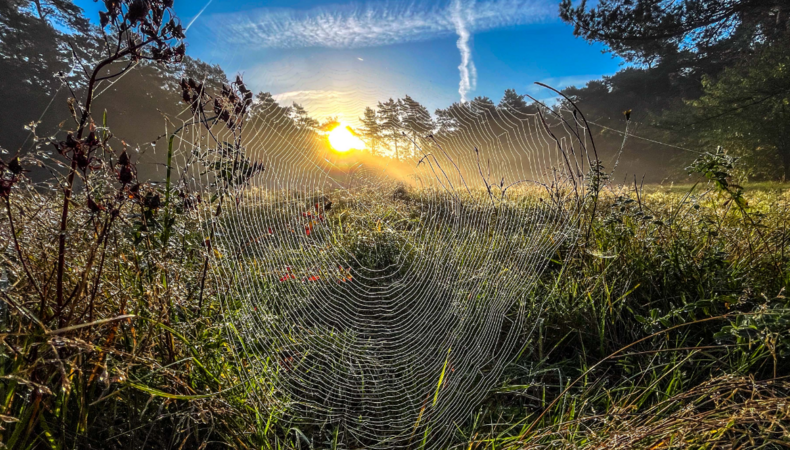 foto van oktober 2025