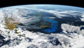 Fytoplankton  gezien vanuit de ruimte in de buurt van de Falkland eilanden